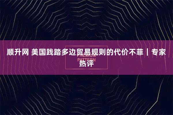顺升网 美国践踏多边贸易规则的代价不菲｜专家热评