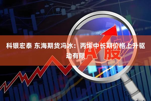 科银宏泰 东海期货冯冰：丙烯中长期价格上升驱动有限